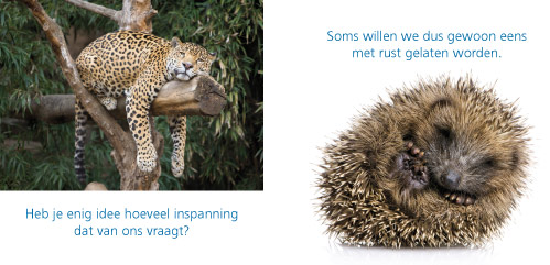 Wat jij ziet en wat ik voel - Afbeelding 2