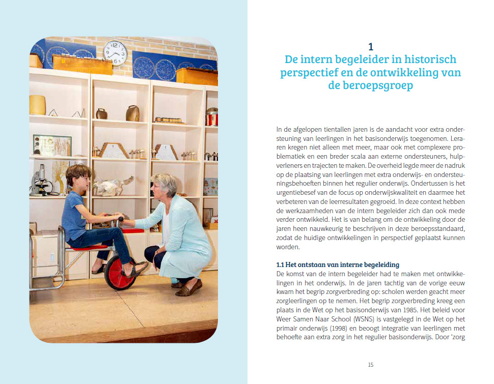 De beroepsstandaard voor de intern begeleider als kwaliteitscoördinator - Afbeelding 3