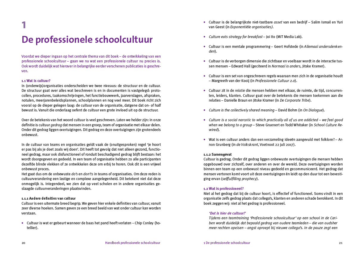 Handboek professionele schoolcultuur - Afbeelding 3