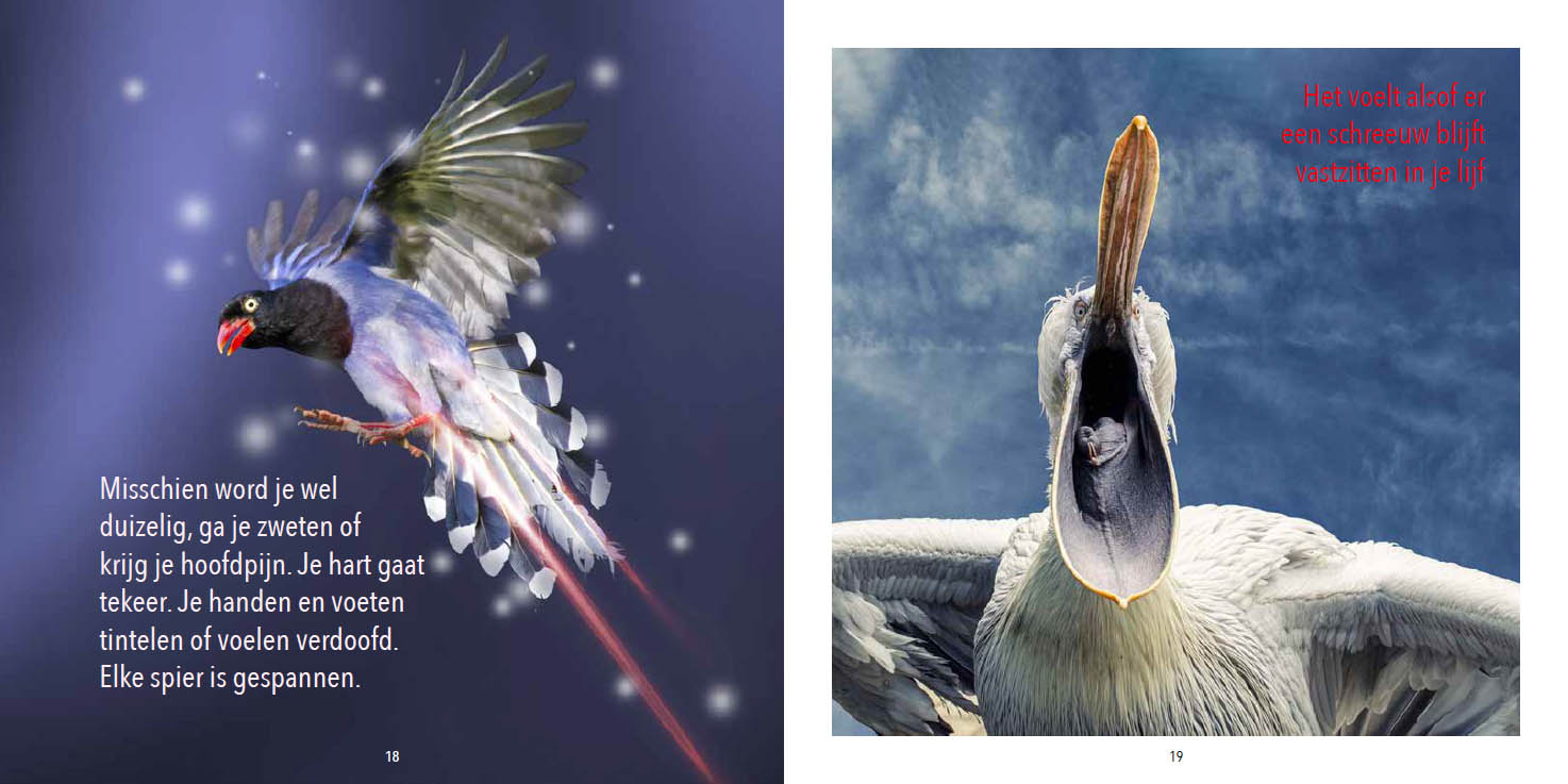Stresskippen en andere bange vogels - Afbeelding 3