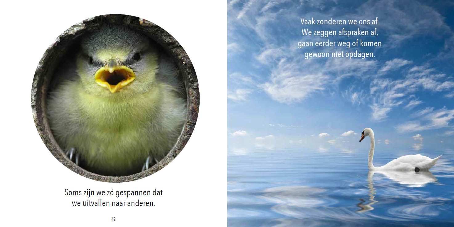 Stresskippen en andere bange vogels - Afbeelding 4