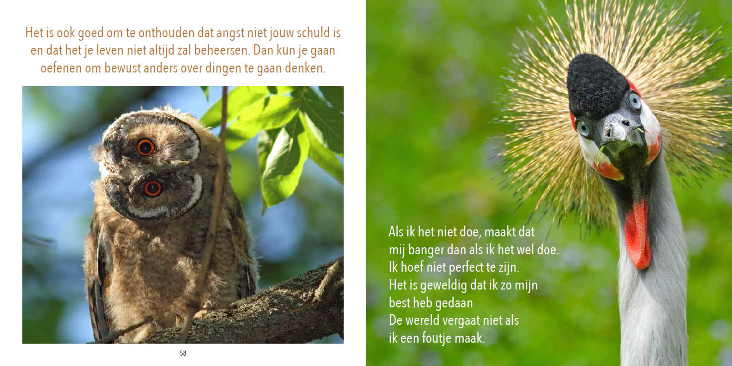 Stresskippen en andere bange vogels - Afbeelding 5