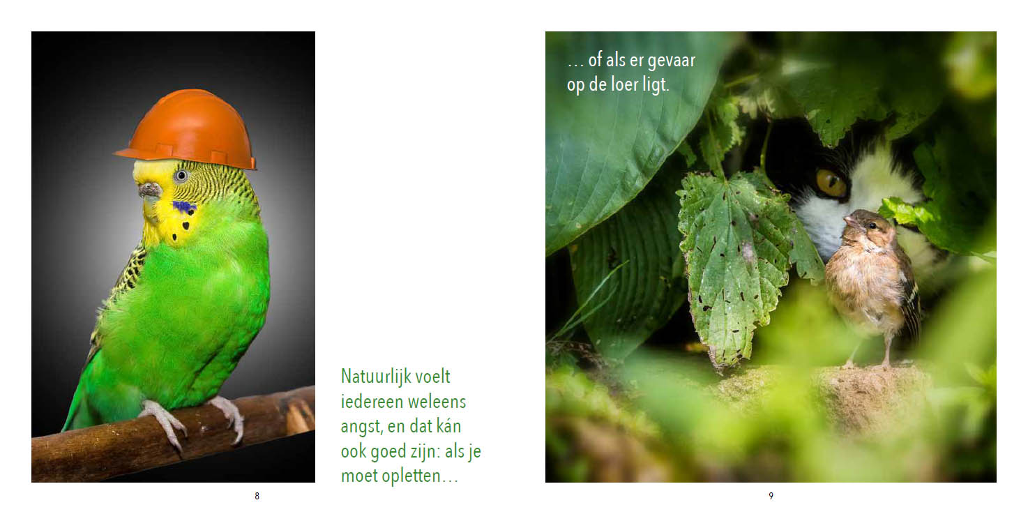 Stresskippen en andere bange vogels - Afbeelding 2