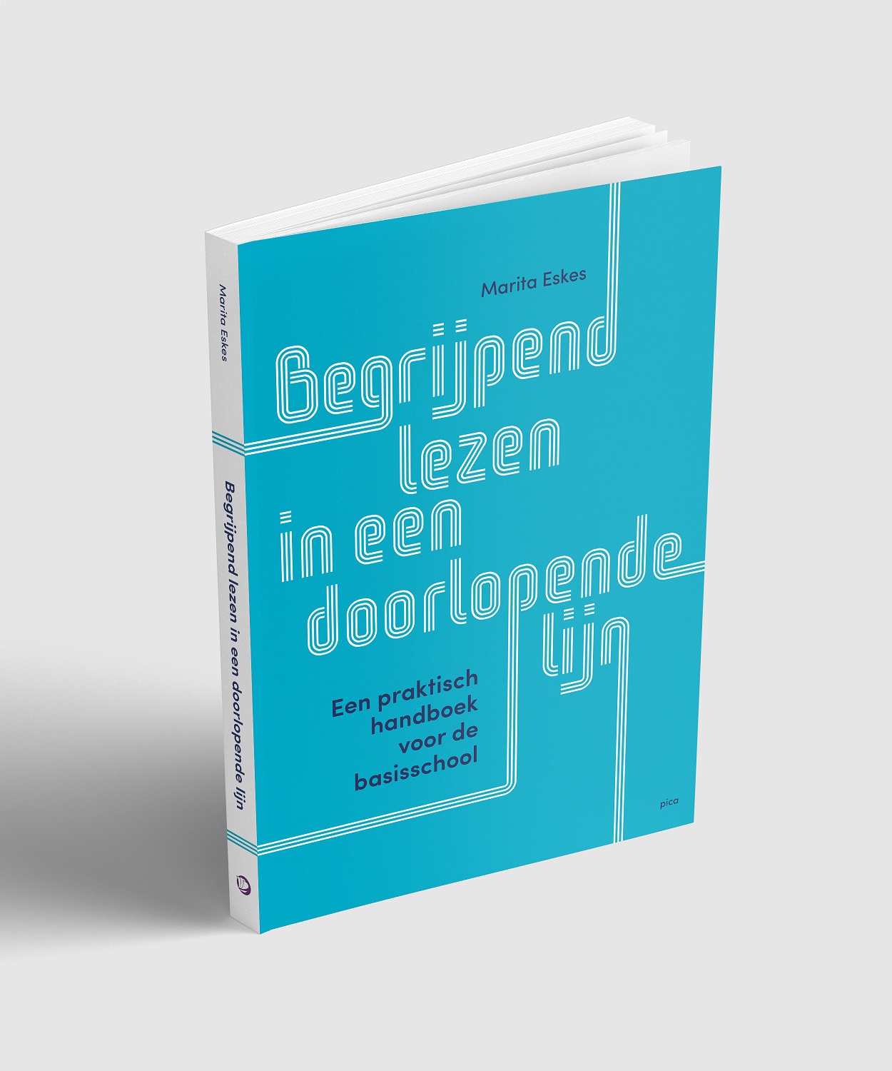 Begrijpend lezen in een doorlopende lijn - Afbeelding 2