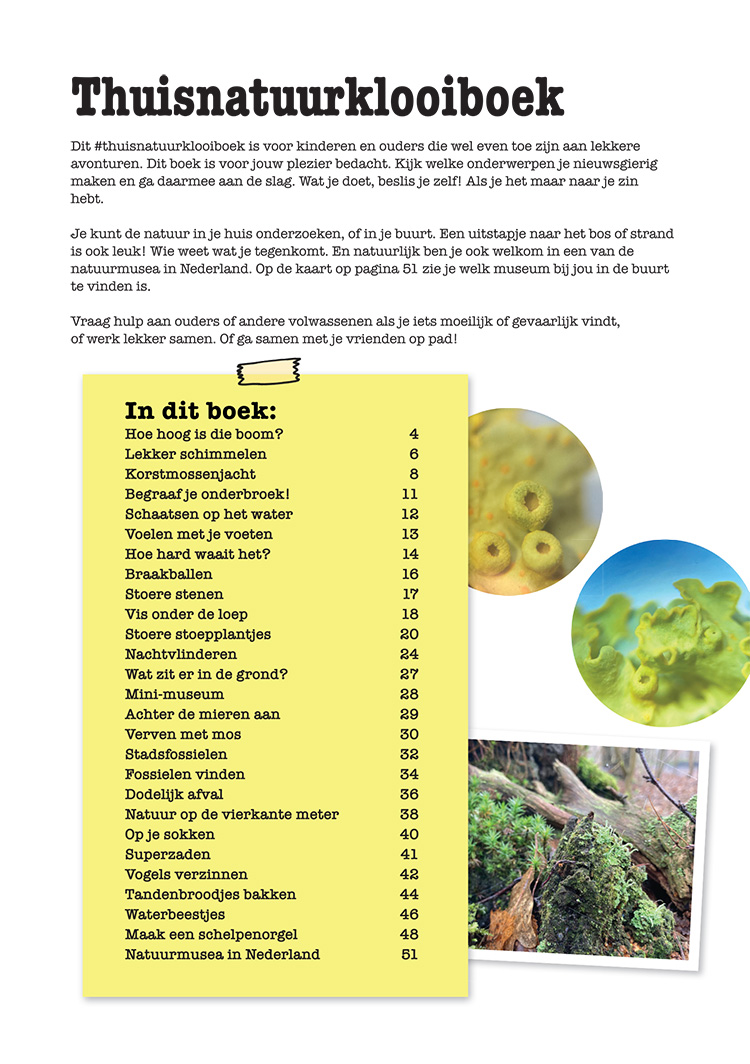 Het grote thuisnatuurklooiboek - Afbeelding 2