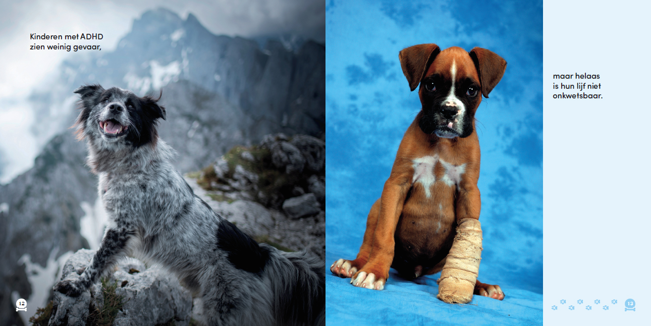 Alle honden hebben ADHD - Afbeelding 2
