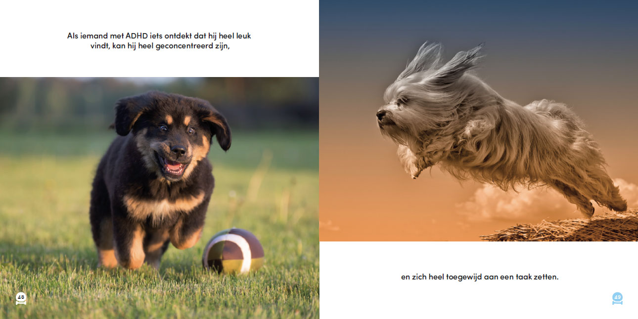 Alle honden hebben ADHD - Afbeelding 4