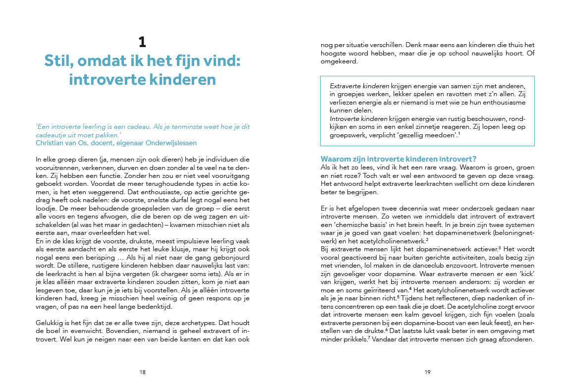 Als je leerling stil is - Afbeelding 3