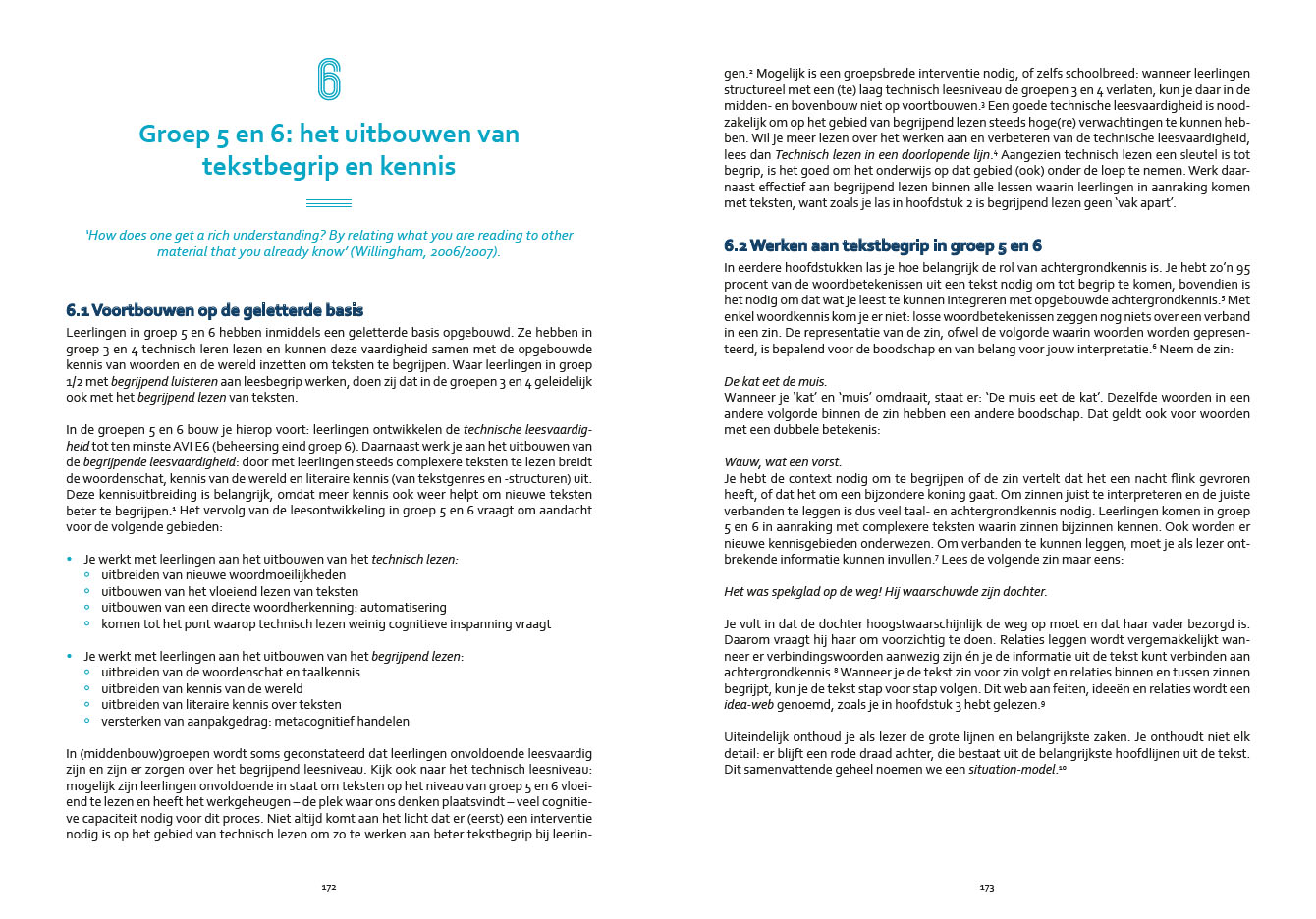 Begrijpend lezen in een doorlopende lijn - Afbeelding 8