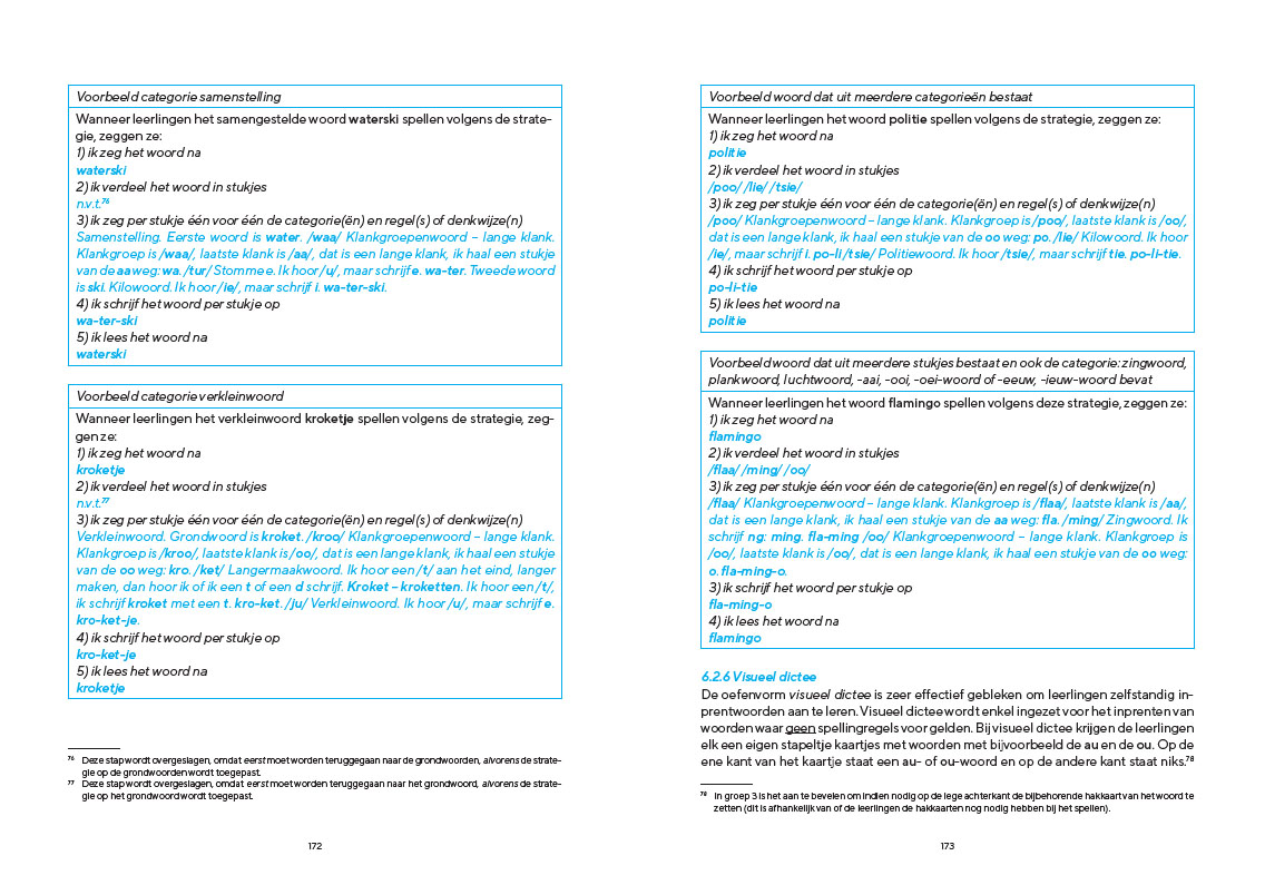 Effectief spellingonderwijs op de basisschool - Afbeelding 7