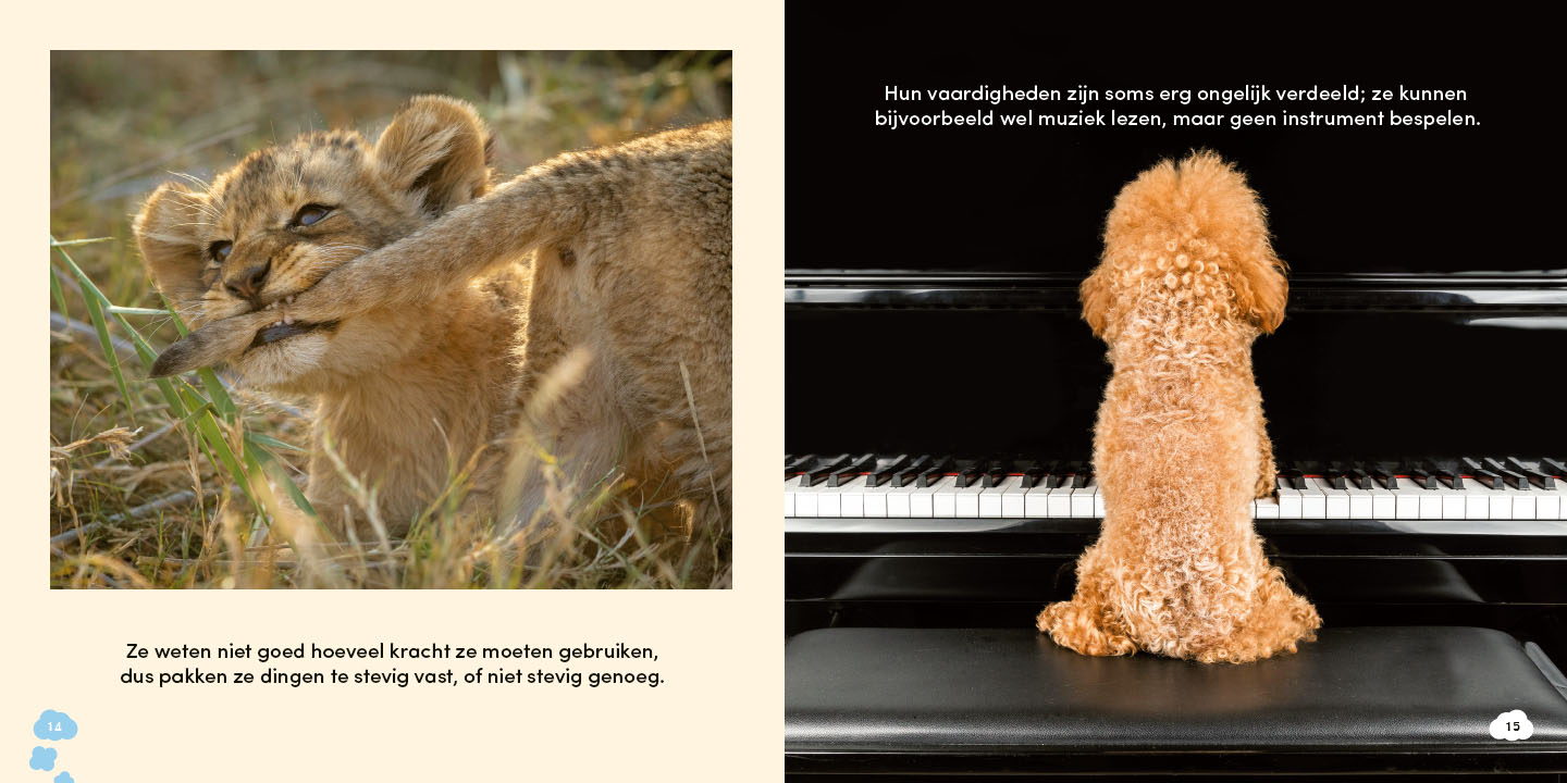 Alles over dyspraxie - Afbeelding 2