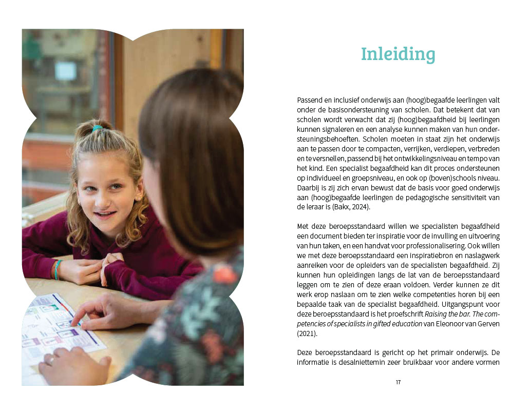 De beroepsstandaard voor de specialist begaafdheid - Afbeelding 3