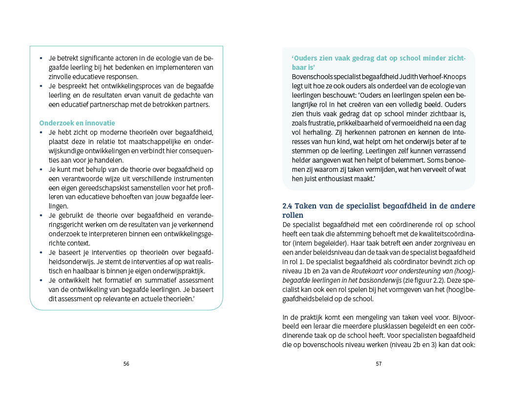 De beroepsstandaard voor de specialist begaafdheid - Afbeelding 5