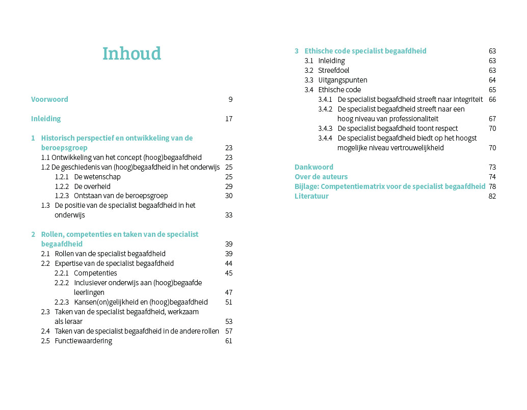 De beroepsstandaard voor de specialist begaafdheid - Afbeelding 2